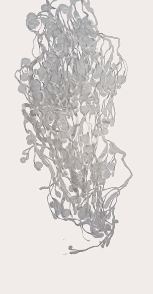 오송규 Oh Song-gyu